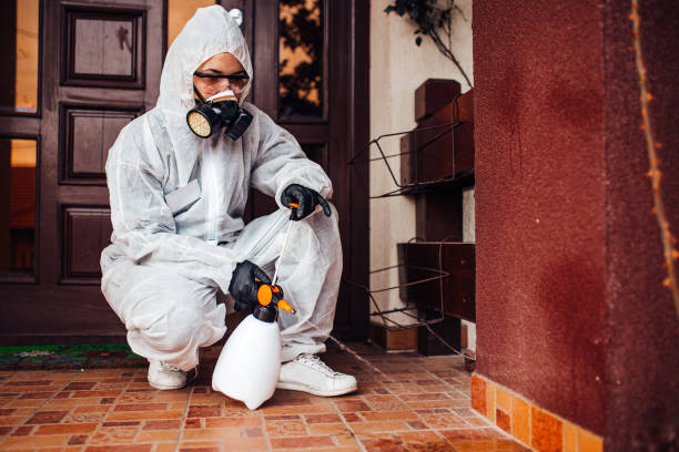 Attic and Crawl Space Rodent Treatment in Alma
